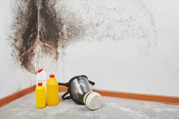 Best Mold Cleaning Services  in Henry, IL