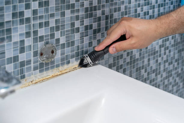 Office Mold Removal Services in Henry, IL